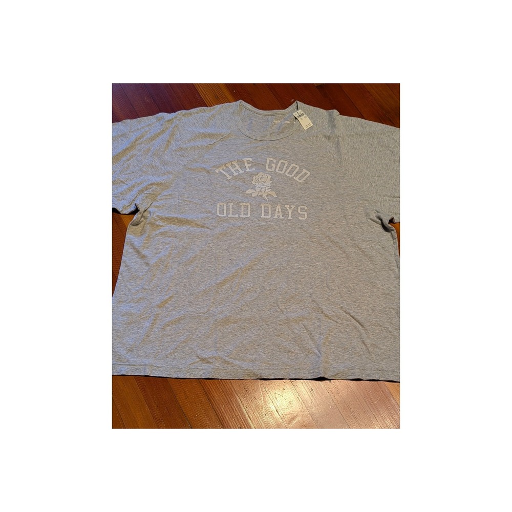 NWT Aerie The Good Old Days Graphic Long Sleeve T-Shirt Heather Grey L oversized